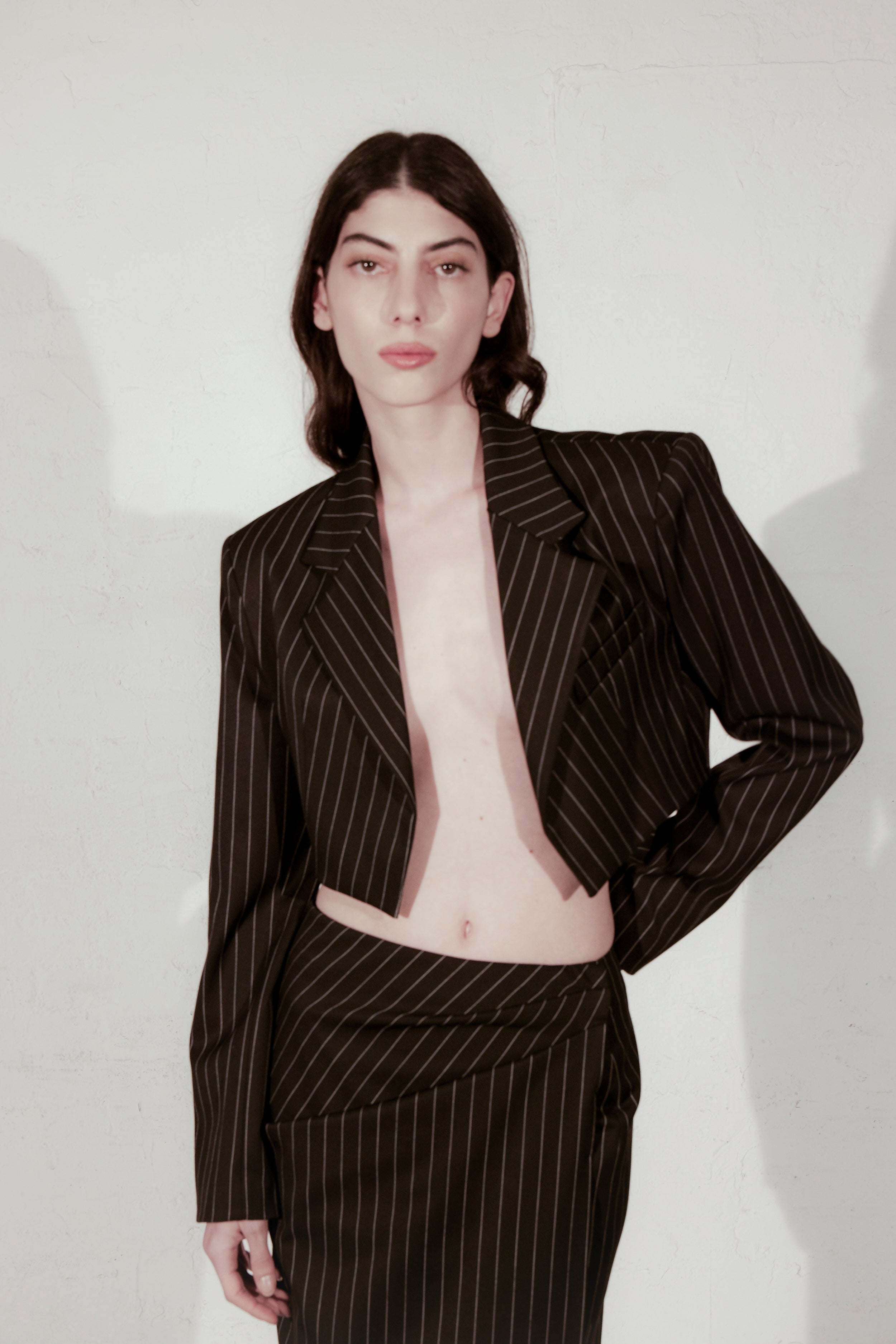 ARIANA BLAZER  IN PINSTRIPE